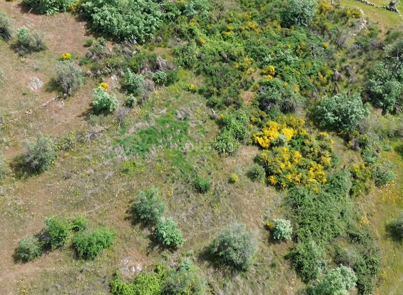 Foto a32c0aca-721e-44d9-8659-300d0ef7e4b1. Finca rústica a Viandar de la Vera