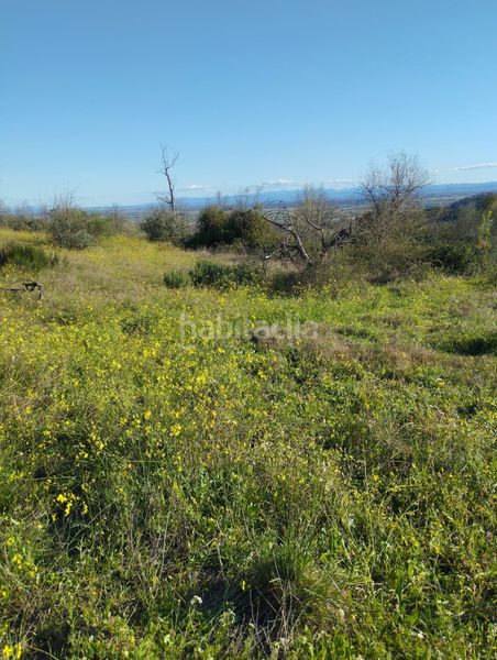 Foto d8b55151-6fe7-49db-b878-951fae1afdcb. Finca rústica a Viandar de la Vera