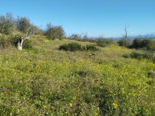 Fondo rustico in Viandar de la Vera