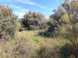 Terreno residencial en Quijorna