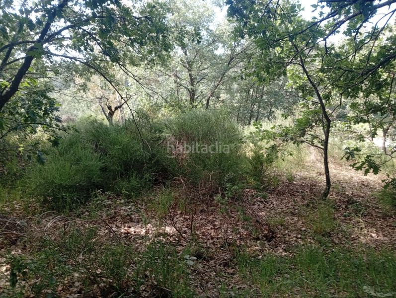 Foto 2a76d0c6-dbc0-4a52-8453-767a11324244. Finca rústica a Losar de la Vera