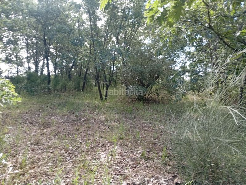 Foto 45e4d974-7639-49d4-836d-04cd1ee45e5d. Finca rústica a Losar de la Vera