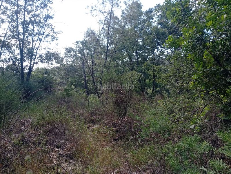 Foto 4f5b7f7f-bad0-4f91-85f9-76ada11ac8f3. Finca rústica a Losar de la Vera