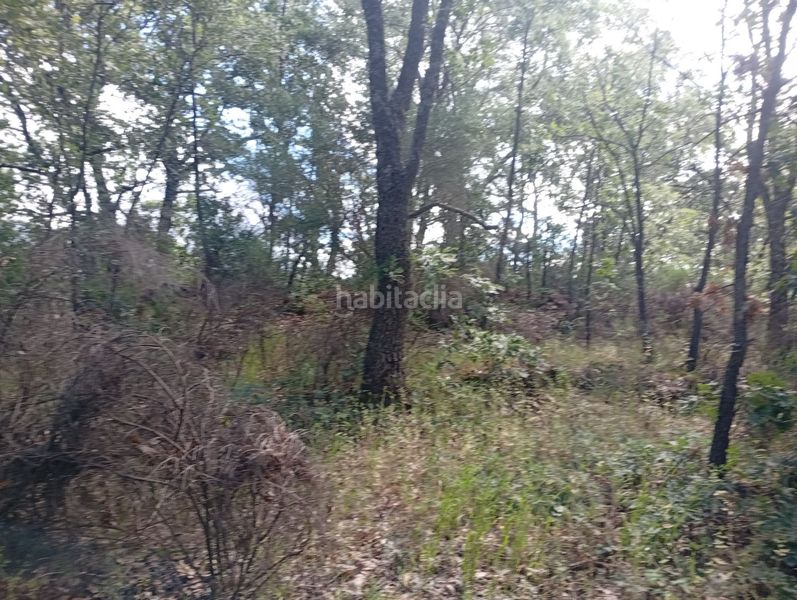 Foto 5a5e9cfd-7359-4f59-a59b-259ffd5d53d6. Finca rústica a Losar de la Vera