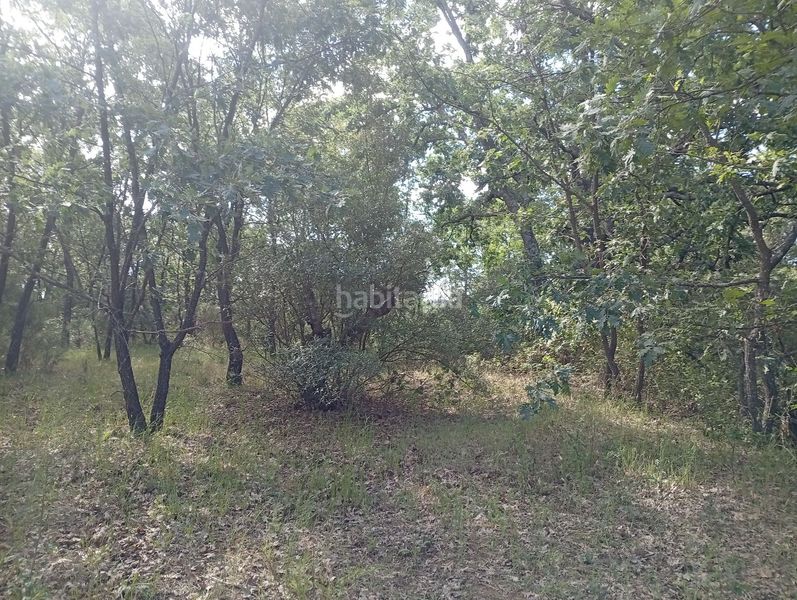 Foto 6095f294-1c1d-4373-a855-069c70f1ce5d. Finca rústica a Losar de la Vera