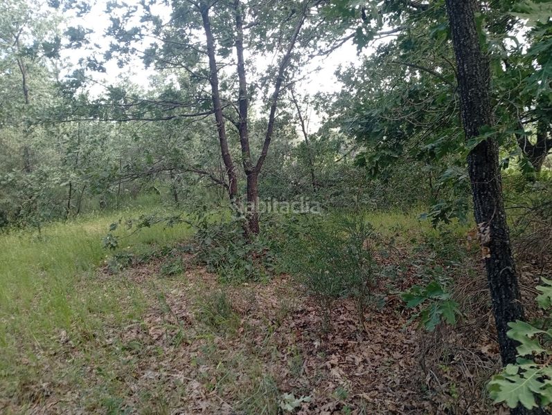 Foto 737011d5-95a4-4e63-a4c3-dca707726581. Finca rústica a Losar de la Vera