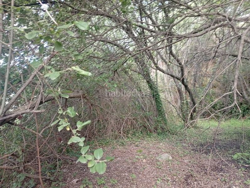 Foto a374d251-7670-45fa-94c0-161d95151805. Finca rústica a Losar de la Vera