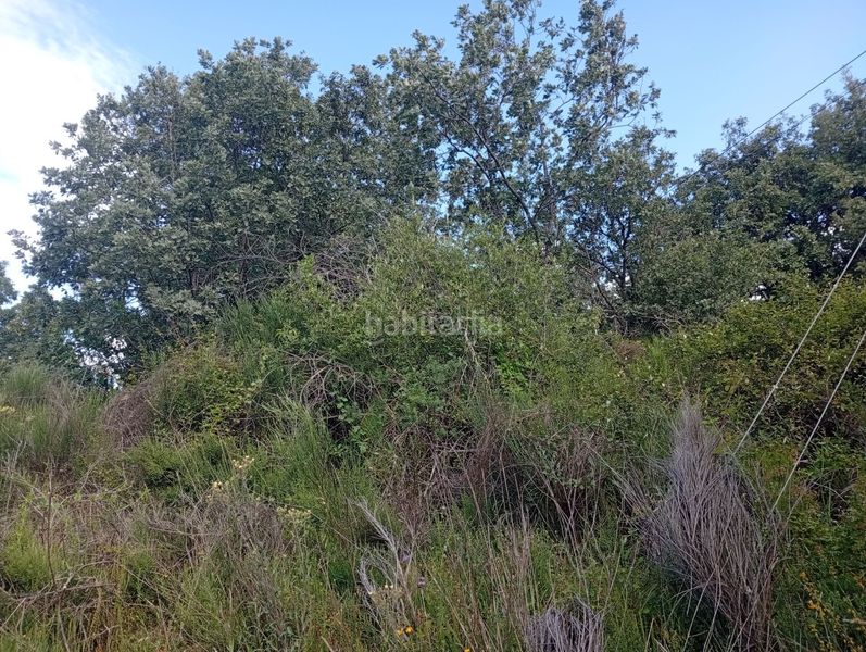 Foto ac215987-7e32-425f-bb03-a4d452b58ebc. Finca rústica a Losar de la Vera