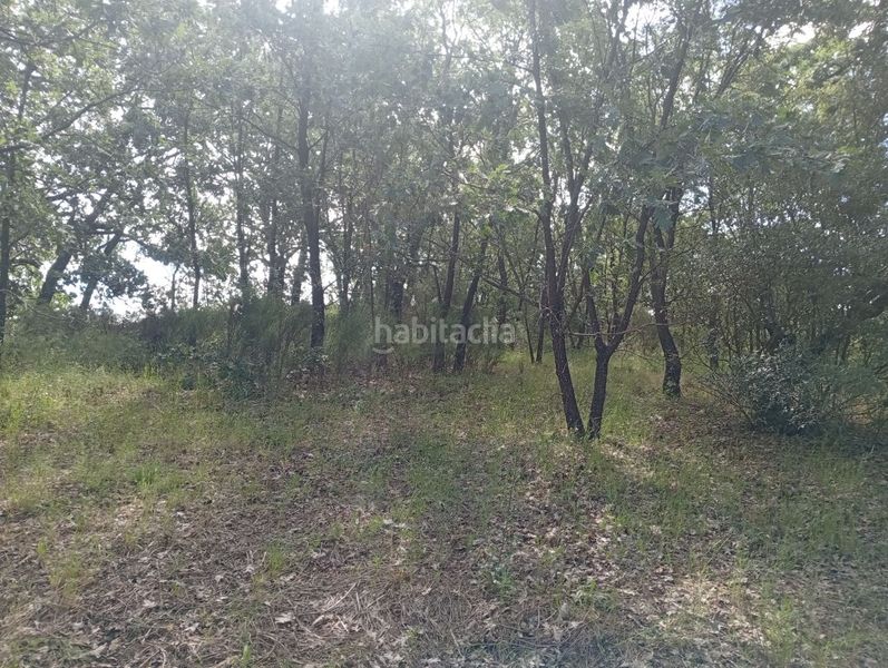 Foto adabf426-e48c-4a0d-977d-3c2684458671. Finca rústica a Losar de la Vera
