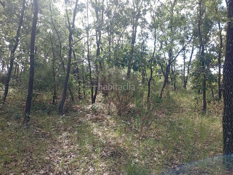 Foto c375d055-205a-4e1b-9776-2f5ce3695e5e. Finca rústica a Losar de la Vera