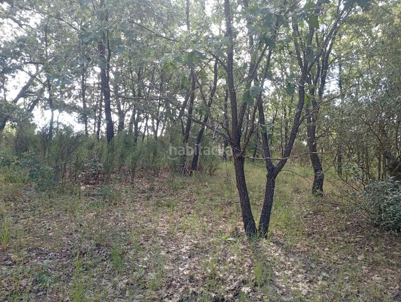Foto c92602b3-32b2-4f61-85ac-2f5f9a09367c. Finca rústica a Losar de la Vera