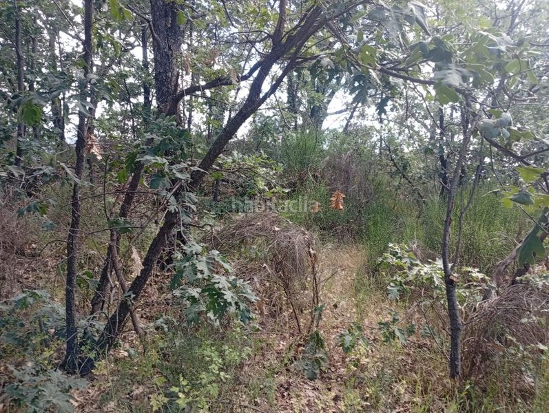 Foto d1c1a9bf-6400-485c-a4c8-c15164ae9668. Finca rústica a Losar de la Vera