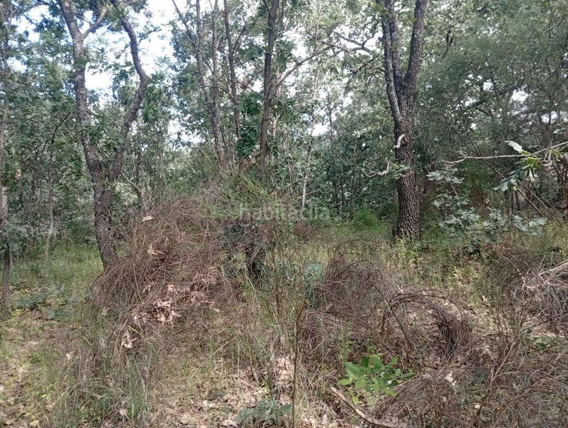 Foto da63e333-10fa-4d18-babc-039765a29e6c. Finca rústica a Losar de la Vera