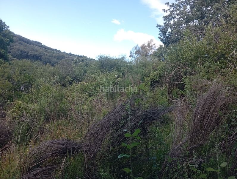 Foto f00938fa-ce4c-46f8-8384-324b3fb96ef6. Finca rústica a Losar de la Vera