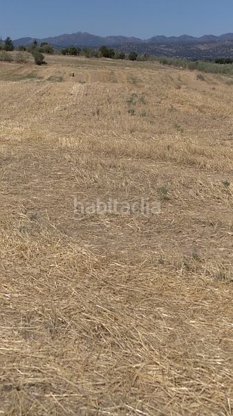 Foto 048693c0-c8f7-43fe-a07a-8b2e073776a7. Finca rústica a Quijorna