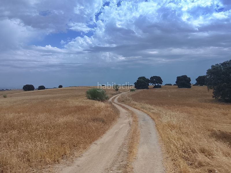 Foto ceae577f-d00e-45fa-a671-3f3109d61096. Finca rústica a Quijorna