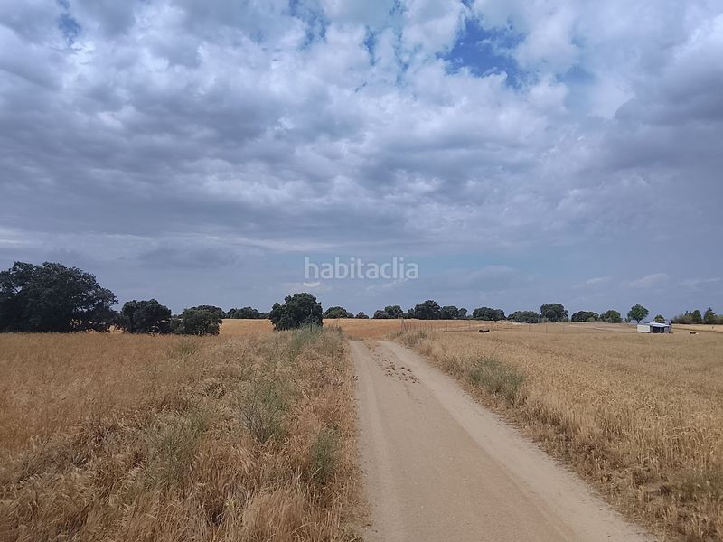 Foto dfdca8ee-5d93-4462-9797-dcc2b2905dd7. Finca rústica a Quijorna