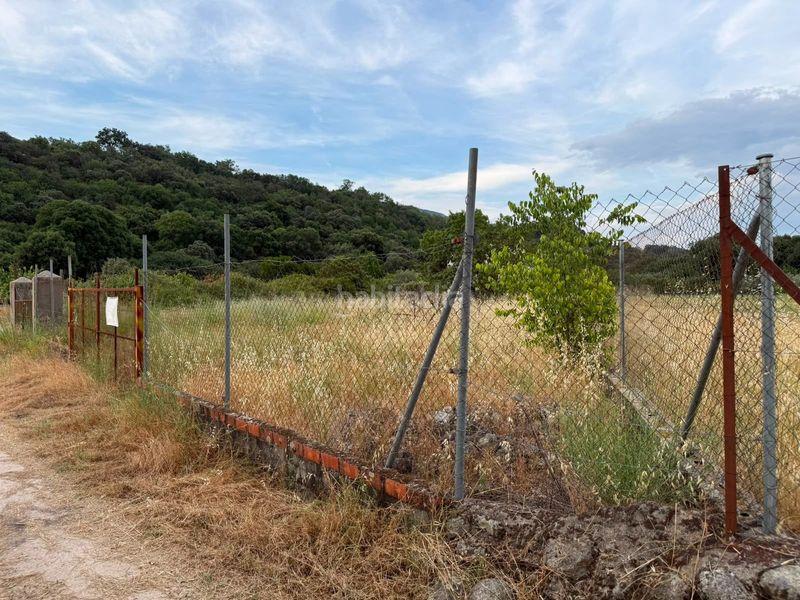 Foto 653889e7-b324-4f31-87d3-7572b4fd7986. Finca rústica a Candeleda