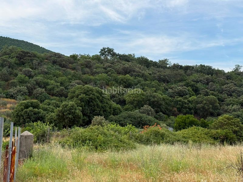 Foto 67c543fe-8c5b-42a8-9e9a-fb7c211a821e. Finca rústica a Candeleda
