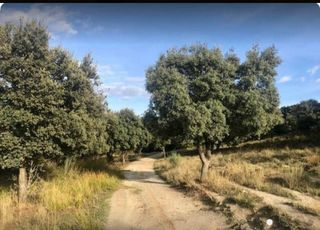 Landgut in Brunete