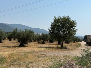 Finca rústica a Candeleda