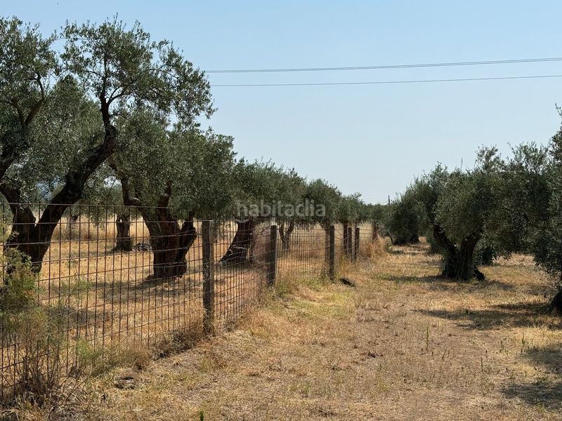 Foto aeb711c8-f50c-45b5-8628-4cc6d6be355a. Finca rústica a Candeleda