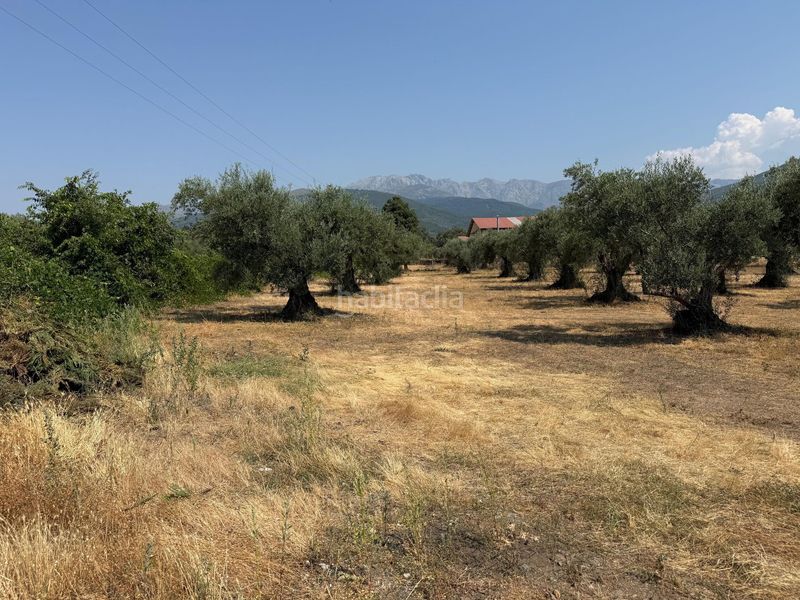 Foto d4f85961-6f3e-45c6-ab2f-20be4d026b2c. Finca rústica a Candeleda