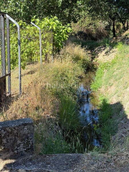 Foto 4af8d910-3b2f-423e-83b3-e10f42a4fb8a. Finca rústica a Candeleda