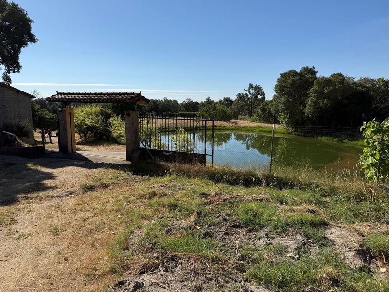 Foto aee460dd-2a6e-4737-a7fd-4f783626b859. Finca rústica a Candeleda