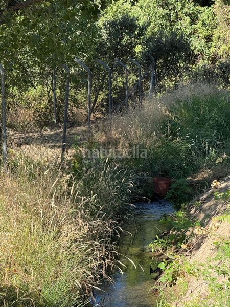 Foto d00eb384-9493-46dc-bfa8-cfc2a4a8c7d1. Finca rústica a Candeleda