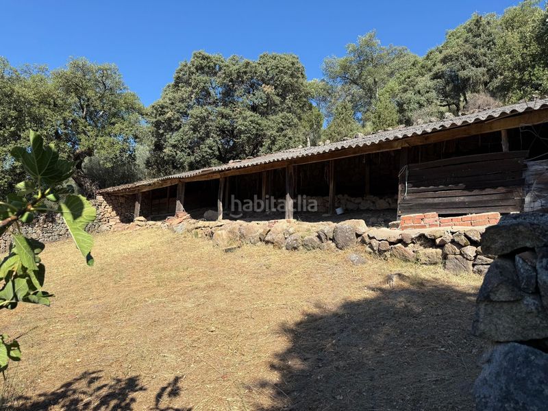 Foto dac5337d-abeb-4687-9c16-8fc11d1ccb68. Finca rústica a Candeleda