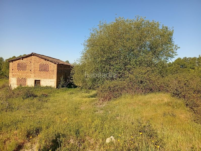 Foto 0fc2b241-90cd-480d-9c57-2019b837144e. Finca rústica a Talaveruela de la Vera