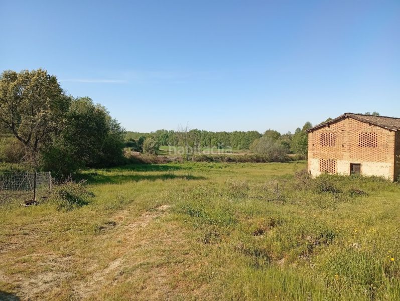 Foto d8b5c127-a6a8-4059-b061-440c6dbac814. Finca rústica a Talaveruela de la Vera