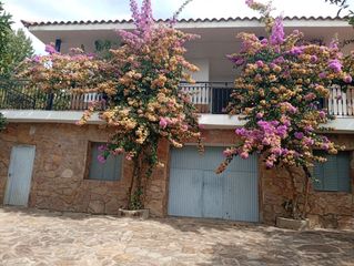 House in Villanueva de la Vera