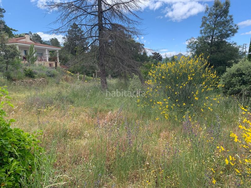 Foto 76468689-9faf-4b09-9a8b-49d5eba1868d. Terreny residencial a Robledo de Chavela