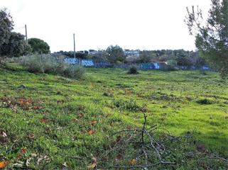 Residential Plot in Fresnedillas de la Oliva
