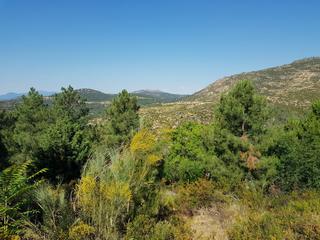 Terreno residenziale in Robledo de Chavela