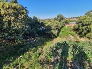 Residential Plot in Cerro Alarcón