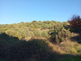 Residential Plot in Robledo de Chavela