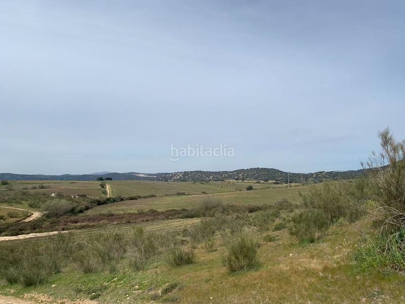 Foto 1ffc4535-4c5d-48b2-9e13-721512fc253c. Fondo rustico in Quijorna