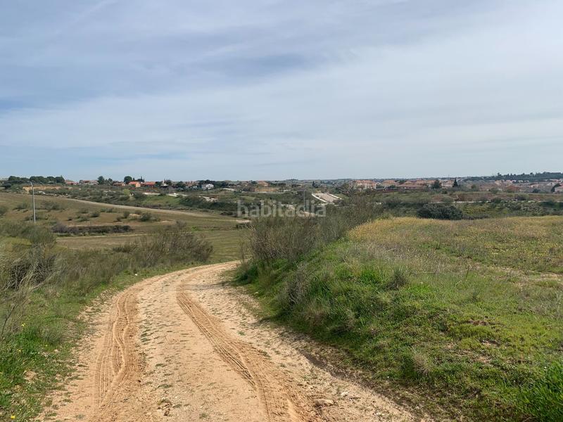 Foto 4bc59276-fc90-491e-9df3-66d354f9b533. Fondo rustico in Quijorna