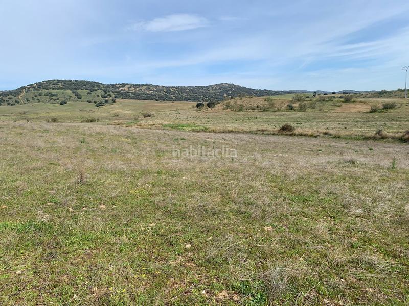 Foto 8a030144-638c-4484-94d6-4813de40b3de. Fondo rustico in Quijorna