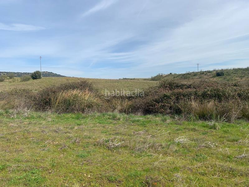 Foto 8e398a76-fe0f-429f-bdee-3e2e701bd4fe. Fondo rustico in Quijorna