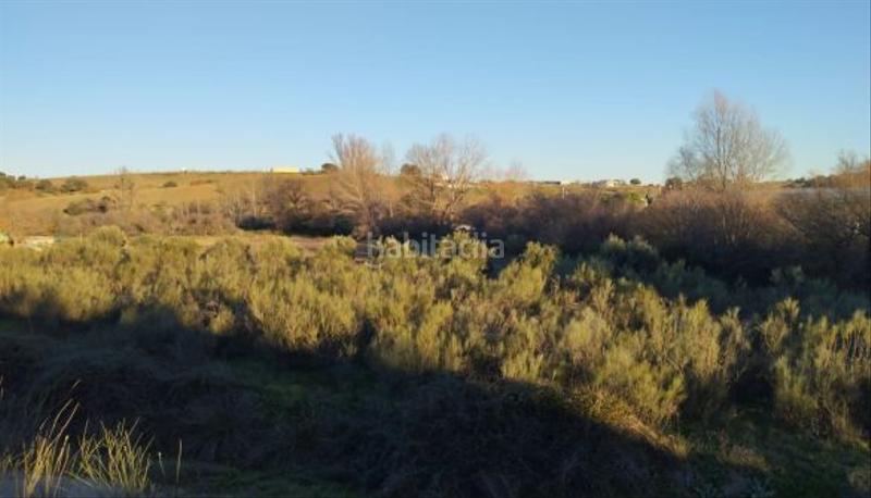 Foto c73fa8d9-e897-442a-ad6d-533b1749d9dd. Fondo rustico in Quijorna