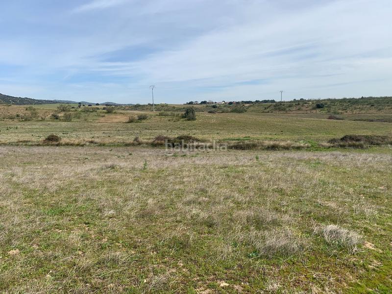 Foto d81b454f-fe2a-4dd7-9ebb-369608b580ad. Fondo rustico in Quijorna