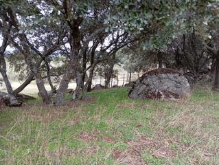 Rural plot in Colmenar del Arroyo