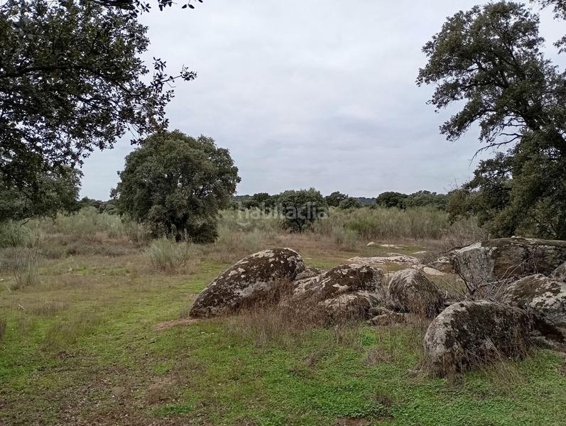 Foto 0c3d1972-e454-4d85-ae9a-000fd1c0377d. Finca rústica en Colmenar del Arroyo