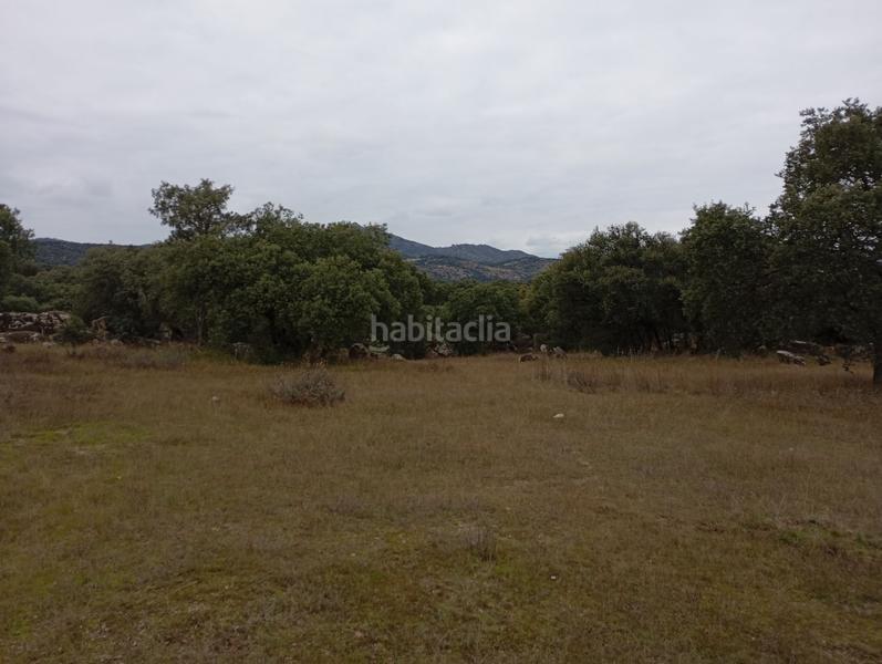 Foto 2e528f7d-b34a-4318-a291-995b65c05231. Finca rústica en Colmenar del Arroyo