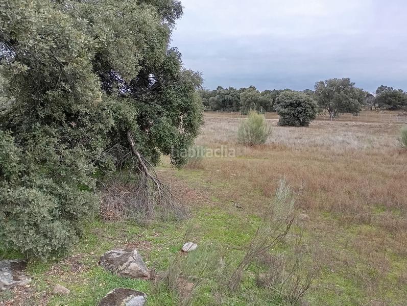 Foto 55adaae8-71fc-45e2-aaf9-809a6a2f960c. Finca rústica en Colmenar del Arroyo