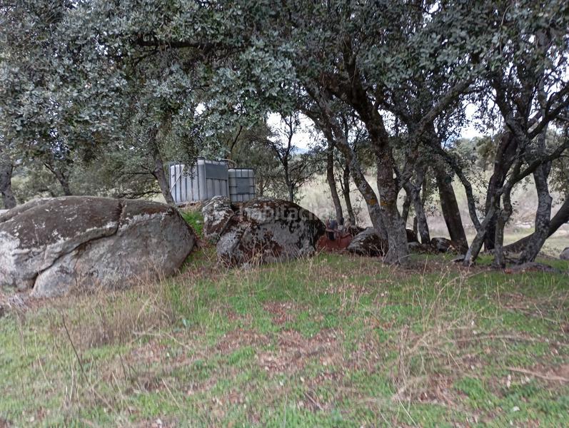Foto 86d6f437-4b73-4cb2-ab1c-301e28f56332. Finca rústica en Colmenar del Arroyo